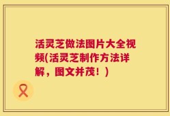 活灵芝做法图片大全视频(活灵芝制作方法详解，图文并茂！)