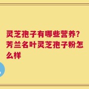 灵芝孢子有哪些营养？芳兰名叶灵芝孢子粉怎么样