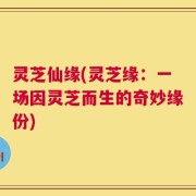 灵芝仙缘(灵芝缘：一场因灵芝而生的奇妙缘份)