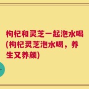 枸杞和灵芝一起泡水喝(枸杞灵芝泡水喝，养生又养颜)