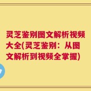 灵芝鉴别图文解析视频大全(灵芝鉴别：从图文解析到视频全掌握)