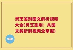 灵芝鉴别图文解析视频大全(灵芝鉴别：从图文解析到视频全掌握)