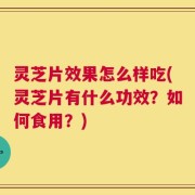 灵芝片效果怎么样吃(灵芝片有什么功效？如何食用？)