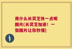 用什么长灵芝快一点呢图片(长灵芝加速！一张图片让你秒懂)