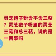 灵芝孢子粉含不含三萜？灵芝孢子粉里的灵芝三萜和总三萜，说的是一回事吗