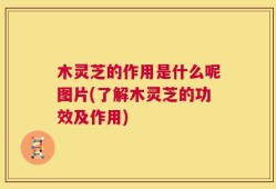 木灵芝的作用是什么呢图片(了解木灵芝的功效及作用)