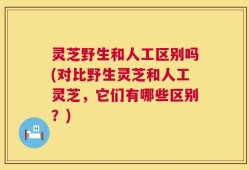 灵芝野生和人工区别吗(对比野生灵芝和人工灵芝，它们有哪些区别？)