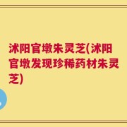 沭阳官墩朱灵芝(沭阳官墩发现珍稀药材朱灵芝)