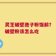 灵芝破壁孢子粉饭前？破壁粉该怎么吃
