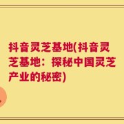 抖音灵芝基地(抖音灵芝基地：探秘中国灵芝产业的秘密)
