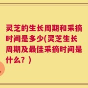 灵芝的生长周期和采摘时间是多少(灵芝生长周期及最佳采摘时间是什么？)