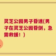 灵芝公园男子昏迷(男子在灵芝公园昏倒，急需救援！)