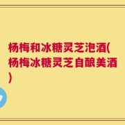 杨梅和冰糖灵芝泡酒(杨梅冰糖灵芝自酿美酒)