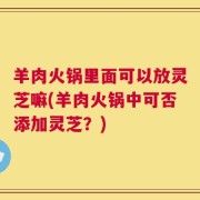 羊肉火锅里面可以放灵芝嘛(羊肉火锅中可否添加灵芝？)