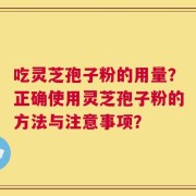 吃灵芝孢子粉的用量？正确使用灵芝孢子粉的方法与注意事项？