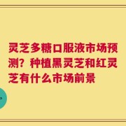 灵芝多糖口服液市场预测？种植黑灵芝和红灵芝有什么市场前景