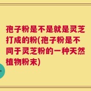孢子粉是不是就是灵芝打成的粉(孢子粉是不同于灵芝粉的一种天然植物粉末)