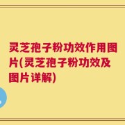 灵芝孢子粉功效作用图片(灵芝孢子粉功效及图片详解)