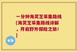 一分钟海灵芝采集路线(海灵芝采集路线详解，开启野外探险之旅！)