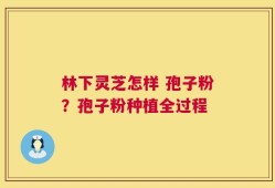 林下灵芝怎样 孢子粉？孢子粉种植全过程