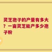 灵芝孢子的产量有多大？一亩灵芝能产多少孢子粉