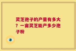 灵芝孢子的产量有多大？一亩灵芝能产多少孢子粉