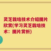 灵芝栽培技术介绍图片欣赏(学习灵芝栽培技术：图片赏析)