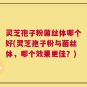 灵芝孢子粉菌丝体哪个好(灵芝孢子粉与菌丝体，哪个效果更佳？)