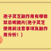 孢子灵芝副作用有哪些禁忌呢图片(孢子灵芝使用前注意事项及副作用分析！)