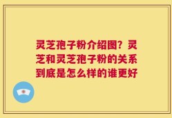 灵芝孢子粉介绍图？灵芝和灵芝孢子粉的关系到底是怎么样的谁更好