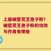 上丽破壁灵芝孢子粉？破壁灵芝孢子粉的功效与作用有哪些