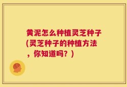 黄泥怎么种植灵芝种子(灵芝种子的种植方法，你知道吗？)