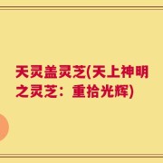 天灵盖灵芝(天上神明之灵芝：重拾光辉)