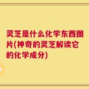 灵芝是什么化学东西图片(神奇的灵芝解读它的化学成分)