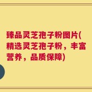 臻品灵芝孢子粉图片(精选灵芝孢子粉，丰富营养，品质保障)