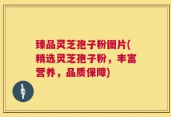 臻品灵芝孢子粉图片(精选灵芝孢子粉，丰富营养，品质保障)