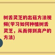 树舌灵芝的出菇方法视频(学习如何种植树舌灵芝，从而得到高产的方法)