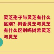 灵芝孢子与灵芝有什么区别？树舌灵芝与灵芝有什么区别吗树舌灵芝与灵芝