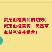 灵芝山楂黄芪的功效(灵芝山楂黄芪：天然草本益气滋补组合)