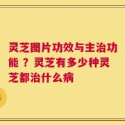 灵芝图片功效与主治功能 ？灵芝有多少种灵芝都治什么病