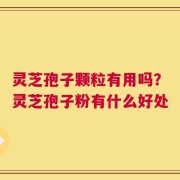 灵芝孢子颗粒有用吗？灵芝孢子粉有什么好处