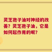 灵芝孢子油对神经的改善？灵芝孢子油，它是如何起作用的呢？