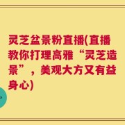 灵芝盆景粉直播(直播教你打理高雅“灵芝造景”，美观大方又有益身心)