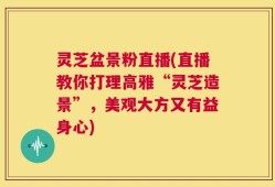 灵芝盆景粉直播(直播教你打理高雅“灵芝造景”，美观大方又有益身心)