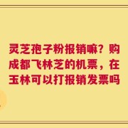 灵芝孢子粉报销嘛？购成都飞林芝的机票，在玉林可以打报销发票吗