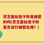 灵芝菌丝孢子粉是破壁的吗(灵芝菌丝孢子粉是否进行破壁处理？)