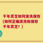 千年灵芝如何清洗保存(如何正确清洗和保存千年灵芝？)