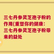 三七丹参灵芝孢子粉的作用(重塑你的健康：三七丹参灵芝孢子粉带来的益处