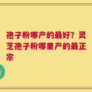 孢子粉哪产的最好？灵芝孢子粉哪里产的最正宗