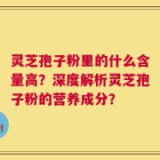 灵芝孢子粉里的什么含量高？深度解析灵芝孢子粉的营养成分？